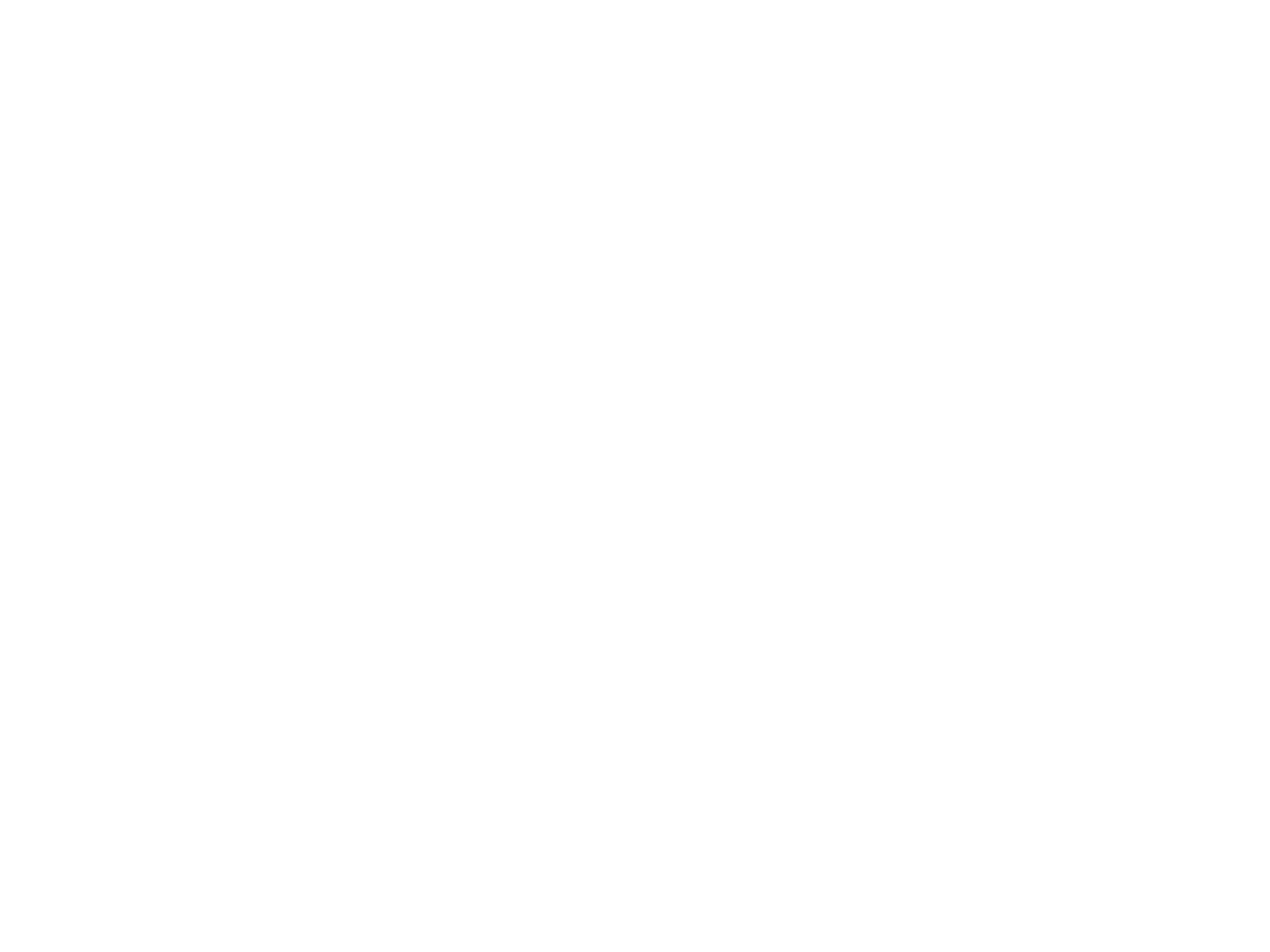 Palace Logo white